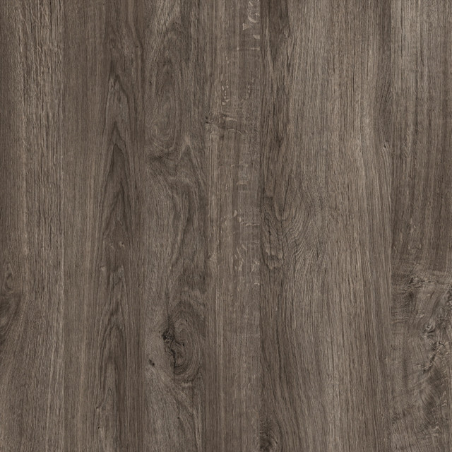 Дуб Палена Дуб Палена