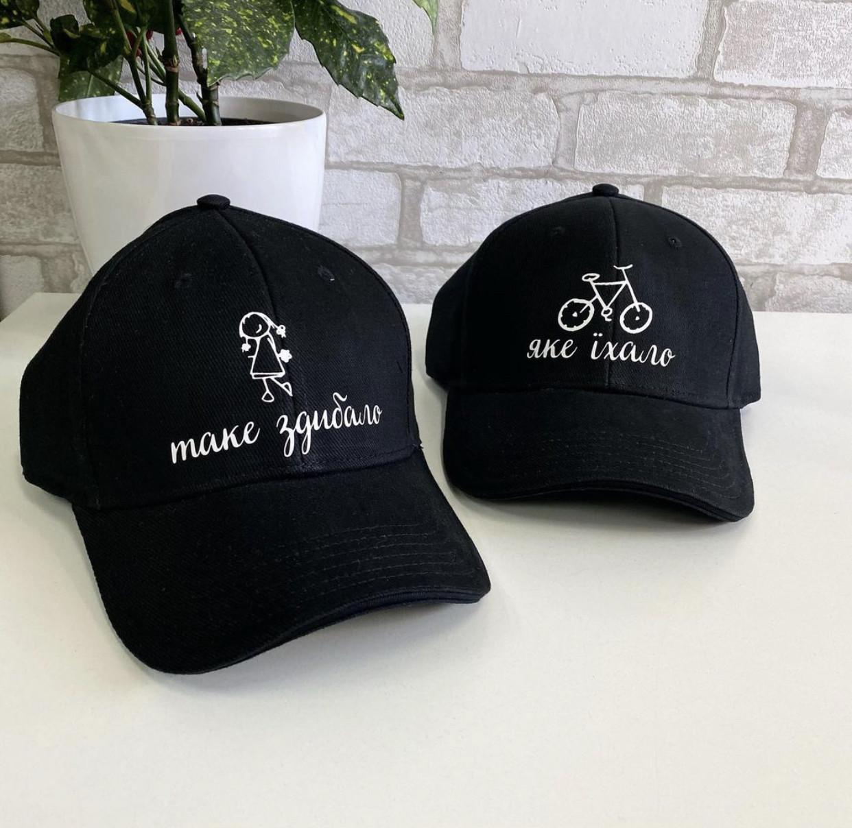 Парні кепки (бейсболки) з принтом "Яке їхало. Таке здибало" Push IT