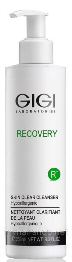 Очисний гель GIGI Recovery Skin Clear Cleanser 250 мл, фото 1
