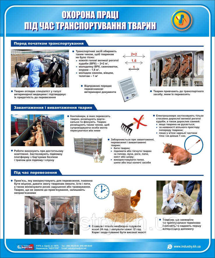 Стенд. Охорона праці під час транспортування тварин. 0,6х0,5. Пластик