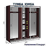 Шафа купе 3-дверний готовий ширина 2600мм, глибина 450мм, висота 2100мм. Одеса, фото 2