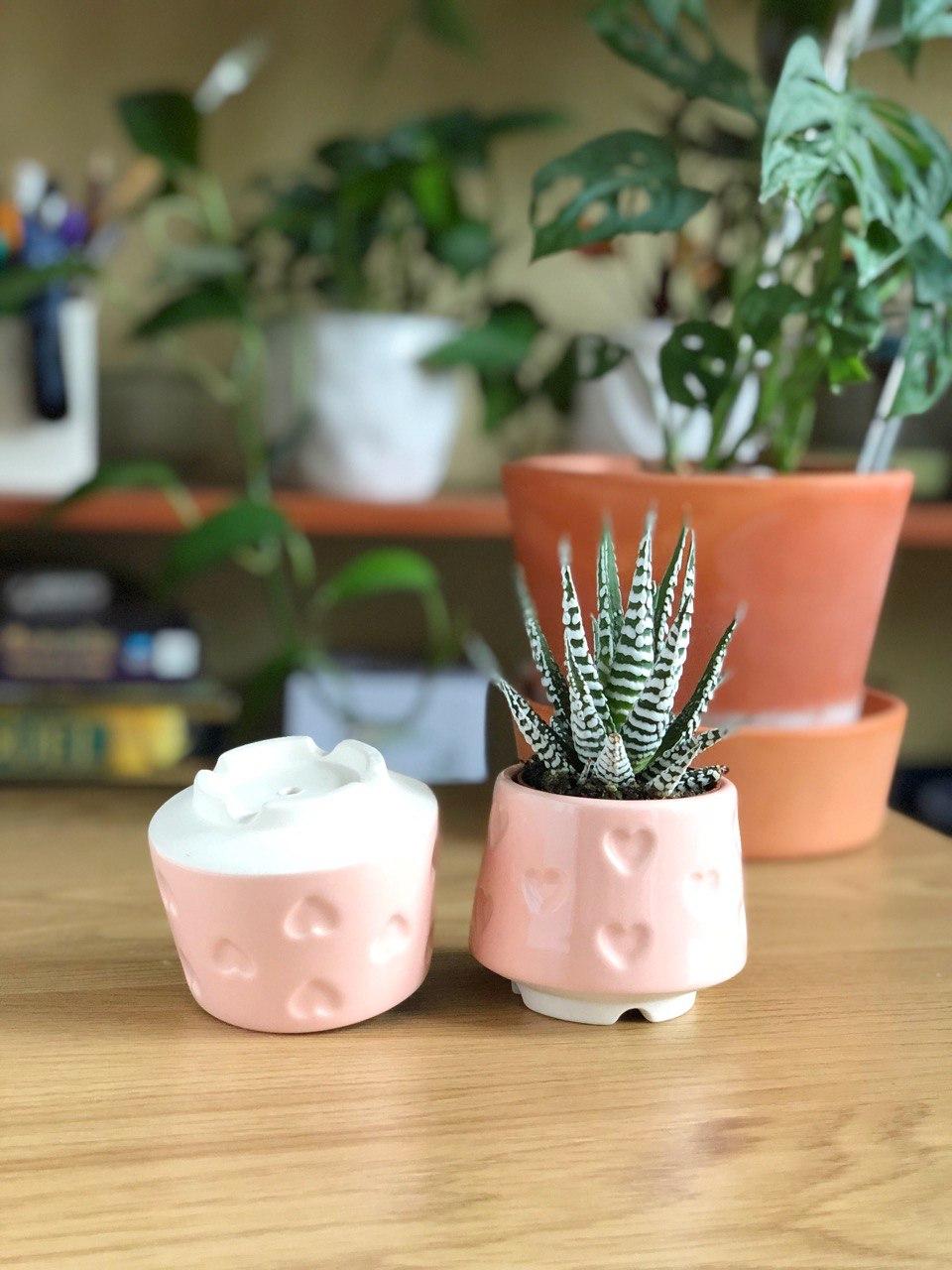 Керамический Горшок для Суккулентов Mini Plant 6,3х6,4см Арт Сердечки ...