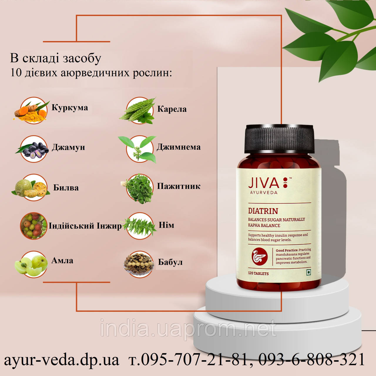 Диатрин Джіва Аюрведа, препарат для лікування цукрового діабету, Jiva Ayurveda Diatrin Trablets, Аюрведа Здесь!