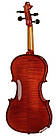 Скрипка STENTOR 1550/A CONSERVATOIRE VIOLIN OUTFIT 4/4, фото 2