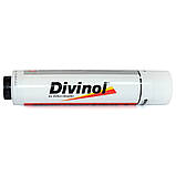 Універсальна водостійка літієва змазка для підшипників кочення і ковзання Divinol Mehrzweckfett 2 (400 г), фото 5