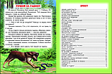 Кращі казки та оповідання Сухомлинський, фото 2