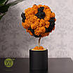 Екодерево з живого моху з підсвіткою "Orange dream", фото 7