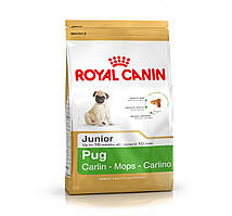 Сухий корм для цуценят Royal Canin PUG 0,5 кг