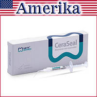 Церасил, Церасіл, CeraSeal Bioceramic root canal sealer, 2 г., биокерамический силер (META BIOMED)