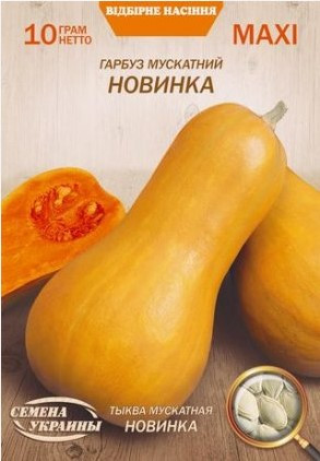 Гарбуз Новинка Насіння України МАКСІ 10 г., фото 1