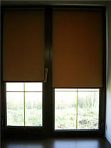 Luminis NEW mint 251, фото 6