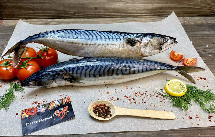 Скумбрия свежемороженая, 1кг. (ID#1554128161), цена: 150 ₴, купить на ...