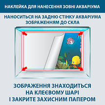 Морська Флора наклейка в акваріум 40х65 см, фото 5