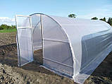 Теплиця "Дарина підсилена" 4х6м, труба 30х30мм з плівкою 150 мкм, фото 9