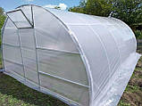 Теплиця "Дарина підсилена" 4х6м, труба 30х30мм з плівкою 150 мкм, фото 2