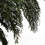 Листя перцю зелені, стабілізовані, фото 8