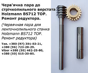 Шестерня і черв'як до редуктора для стрічкопильного верстата Holzmann BS712 TOP; ремонт стрічкопила по металу