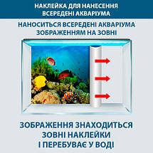 Наклейка в акваріум 3D морське дно, в різних розмірах 40х65 см, фото 6