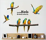 Інтер'єрна наклейка на стіну Green Life Папуги XL6047, фото 2