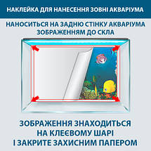 Яскрава наклейка в акваріум з морським світом 40х65 см, фото 2