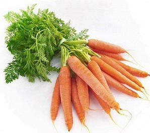 Насіння моркви. Велика фасовка
