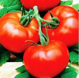 Насіння томатів. Велика фасовка