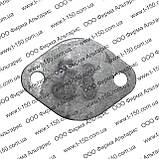 Приймач (оліязбірник) оливного насоса Т-16/25/40 Д-21/144, Д37М-1402010-А2, фото 3