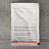 Кабачок Кавілі F1 100 шт насіння пакетоване Агропак, фото 2