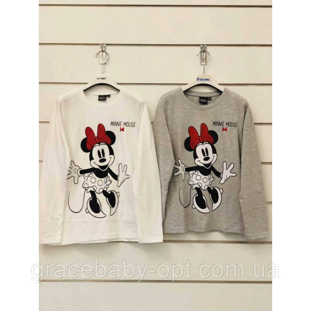 Реглан для дівчат оптом, Disney, 134-164 см, № MIN-GT-SHIRT-221