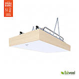 Сходи на горище Bukwood DOUBLE LUXE Metal Standard, фото 6