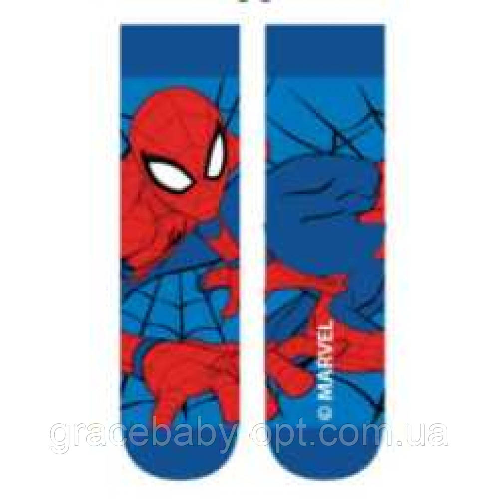 Шкарпетки для хлопчиків оптом, DISNEY, 23/26-31/34 рр., № SP-A-SOCKS-113