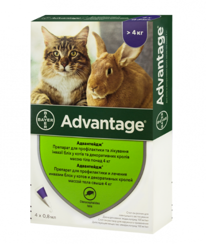Краплі від бліх та кліщів для кішок більше 4 кг Advantage 4 піпетки по 0,8 мл