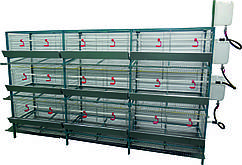 Універсальна розбірна клітка для курей-несучок і бройлерів, 36 гол