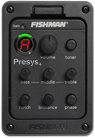 Звукознімач акустичної гітари інтегрована система підсилювача Fishman