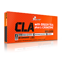 Конъюгированная линолевая кислота Olimp CLA with Green Tea (60caps) жиросжигатель