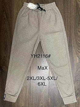 Джоггеры жіночі бавовна на байку Black Cyclone, розміри 2XL-3XL. 3XL-4XL, 4XL-5XL, 5XL-6XL, бежеві, 2116