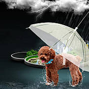 Парасолька для собаки RESTEQ. Парасолька з ланцюгом для собак. Собача парасолька