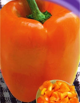 Насіння перцю Біг Мама помаранчевий, фото 1