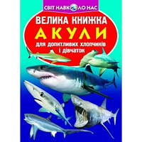 Енциклопедія.Велика книжка А3: Акули м'яка палітурка 16 стор.240х230 мм(у) КБ