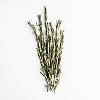 Гідролат розмарину Rosmarinus officinalis, фото 2