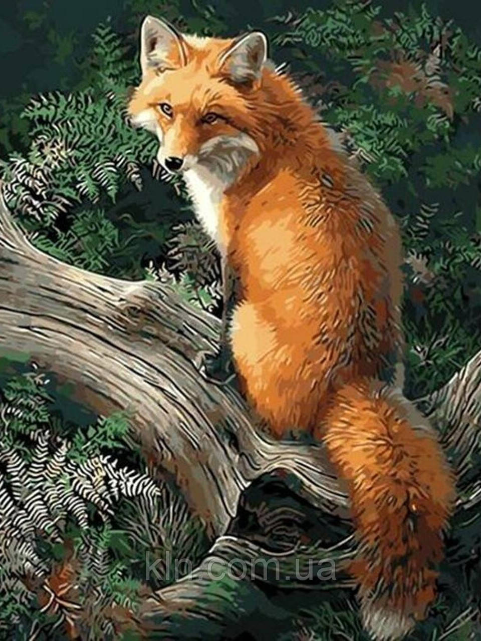 Алмазна вишивка на підрамнику Руда лисиця 30 х 40 см (арт. TN732), фото 1