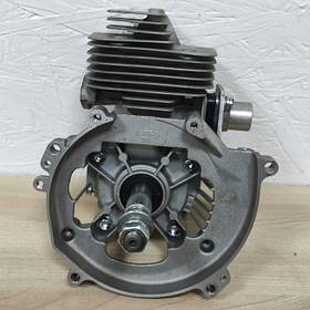 Запчастини для мотооприскувача (садового оприскувача) AgriMotor 3W650