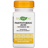 Витамин B5, Nature's Way "Pantothenic Acid Vitamin B5" пантотеновая кислота, 500 мг (100 капсул)
