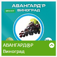 Новинка Авангард Р Виноград (5л) !)