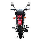 Мотоцикл SPARK SP125C-2CFOL, фото 7