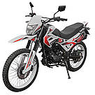 Мотоцикл кросовий Spark SP150D-1 Білий, фото 10