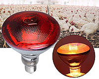 Инфракрасная лампа 100 Вт для обогрева (красное стекло)