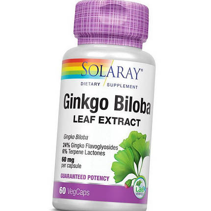 Екстракт листя Гінго Білоба Solaray Ginkgo Biloba Leaf Extract 60 veg caps, фото 3
