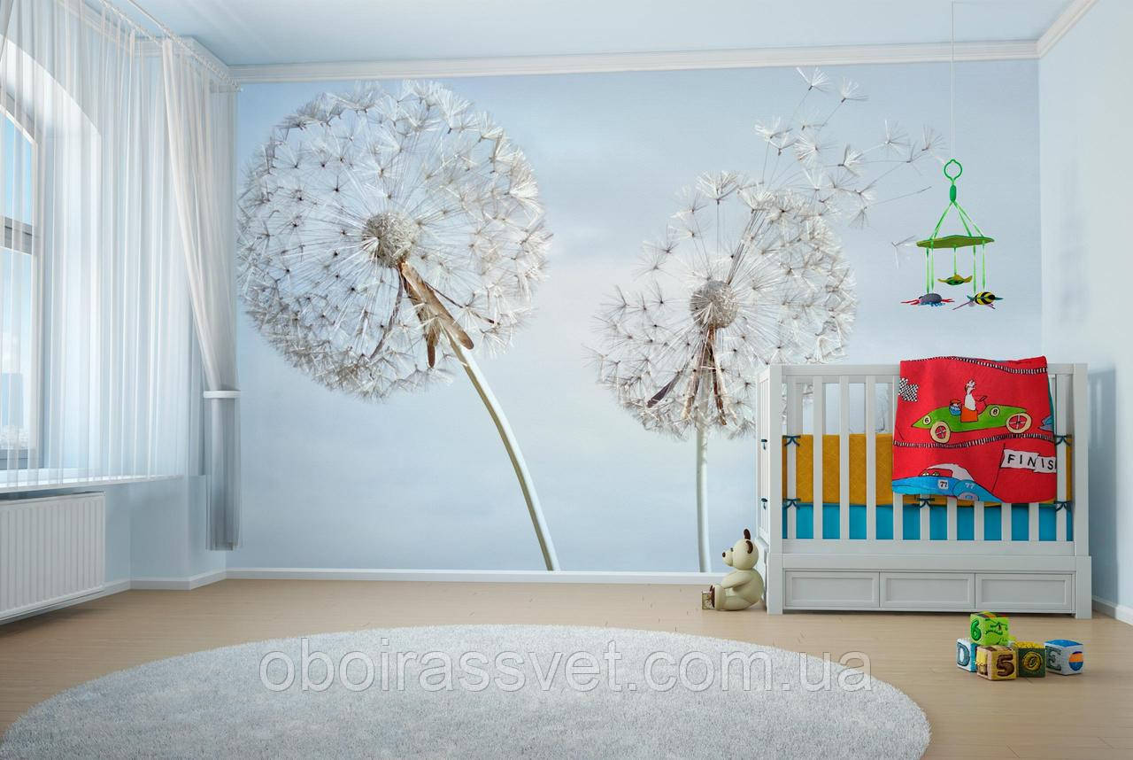 3D Фотошпалери  3Д Повітряні кульбаби