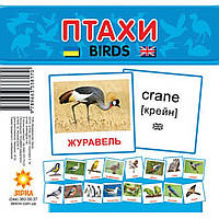 Картки міні Птахи (110х110 мм)